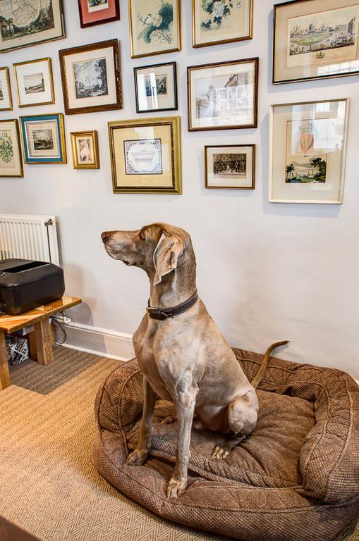 White Hart Inn Wells Eksteriør bilde